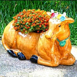 💜 New Pioneer Woman Floral Cow Planter